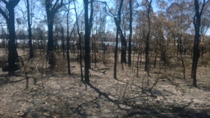 2016-01-14 10.34.53.jpg